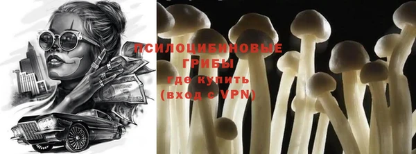 шишки Надым