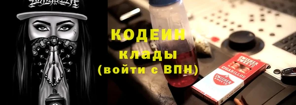 шишки Надым