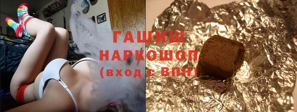 шишки Надым
