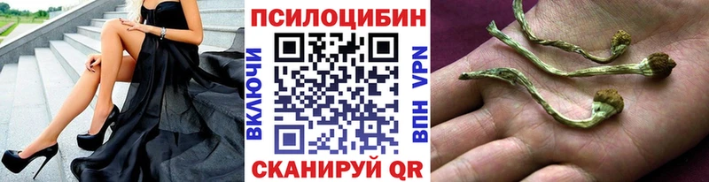 Псилоцибиновые грибы прущие грибы  маркетплейс состав  Власиха 